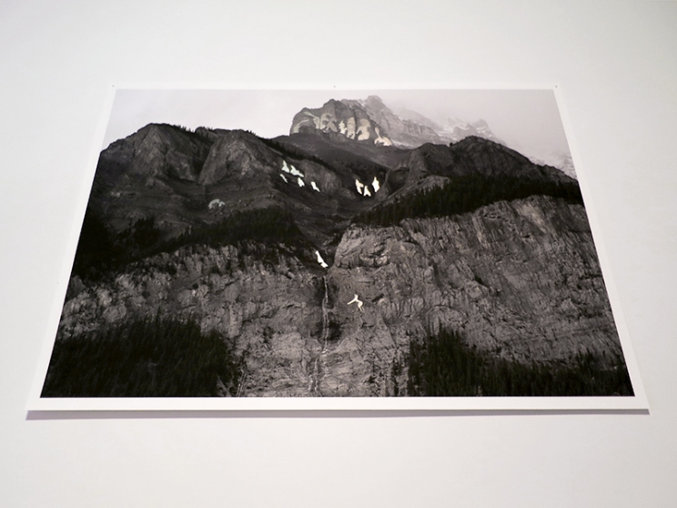 http://login.mirunadragan.com/files/gimgs/th-12_GGallery_Mountain_web.jpg