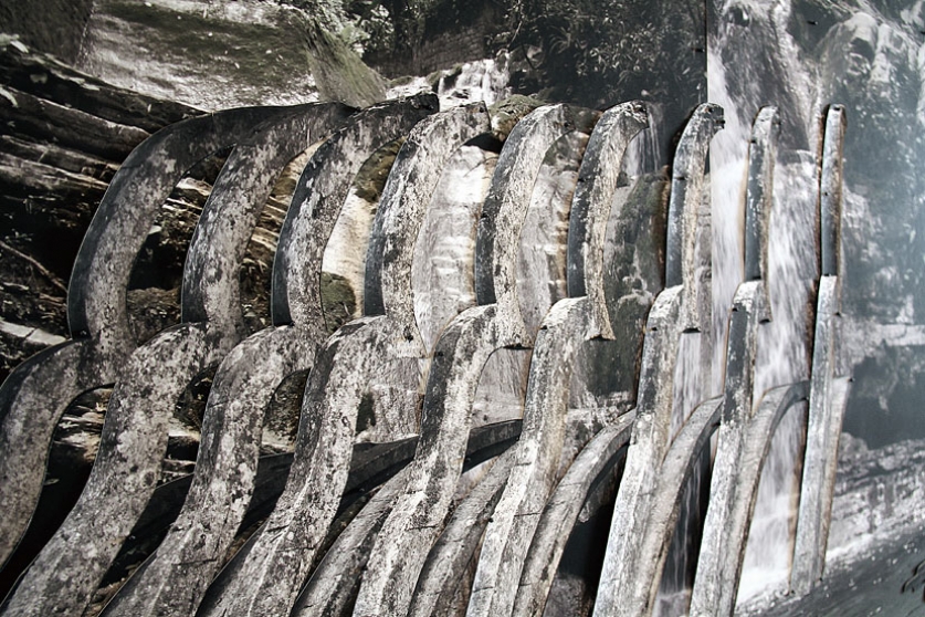 http://login.mirunadragan.com/files/gimgs/th-6_IMG_2473_Xilitla_W.jpg