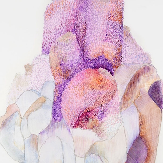 http://login.mirunadragan.com/files/gimgs/th-23_Erratics-Draw3-detail-web_v2.jpg