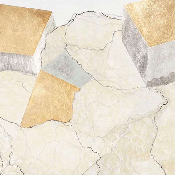 http://login.mirunadragan.com/files/gimgs/th-23_Erratics-Draw1-detail-web_v3.jpg